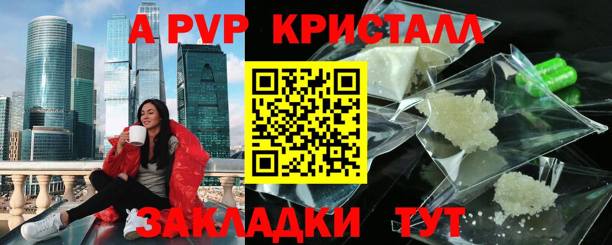Alfa_PVP СК КРИС Пенза