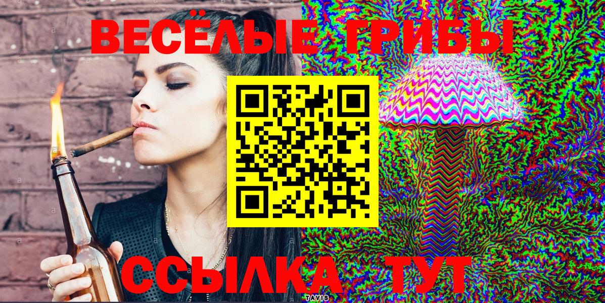 Пенза  закладка  Вход с VPN  Галлюциногенные грибы Psilocybine cubensis 